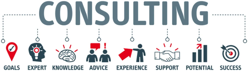 8 Important things a Website Consultant can do for you 3 Dunedin Website Consultant