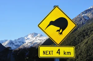 Hi there, I'm Lars Jansen and I'm your Dunedin Website Designer. I do things differently. 3 Dunedin Website Designer