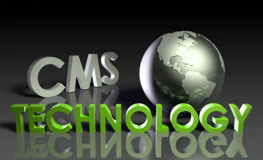 Self-Hosted WordPress vs Custom Coded CMS 6 WordPress vs Custom Coded CMS