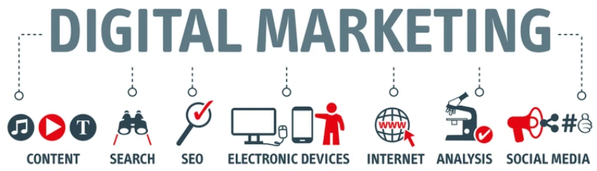 Market Your Business Website in Dunedin: Proven Strategies