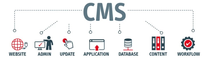 Self-Hosted WordPress vs Custom Coded CMS 3 WordPress vs Custom Coded CMS