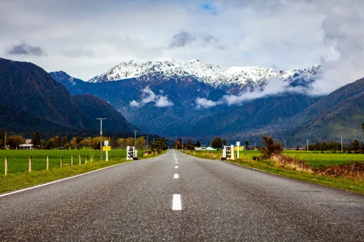 Dunedin Web Design: 4 Awesome reasons to go local! 4 Dunedin Website Design